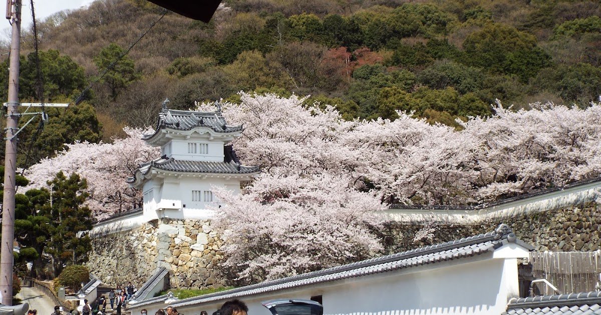 🏯 다쓰노 성(다쓰노조) 이미지 5